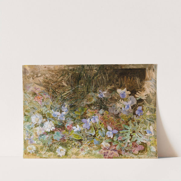 Daisies and Violets by Frances 'Fanny' Wilmot Currey