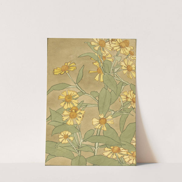 Daisies with Orange Center and Yellow Petals by Hannah Borger Overbeck