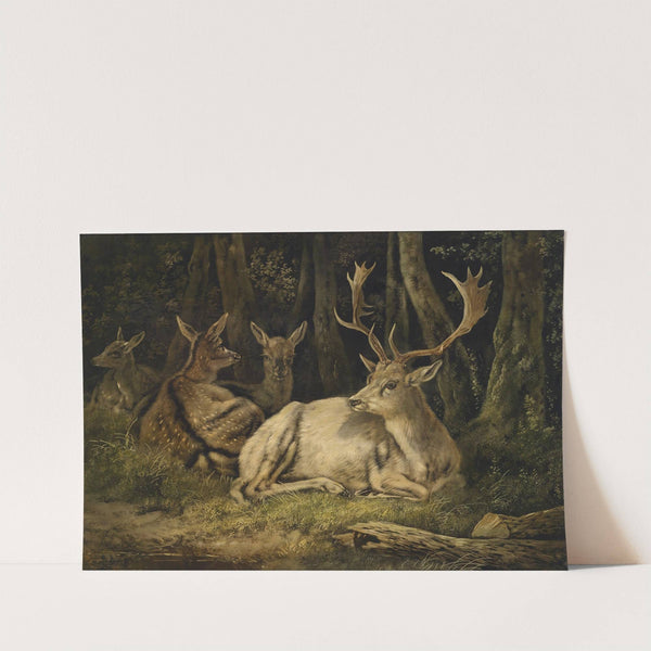 Dammwild by August Schleich