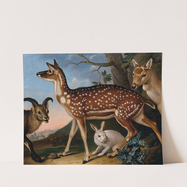Damwild, Steinbock Und Hase (1723) by Philipp Ferdinand de Hamilton