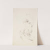 Dancing girl, back by Helene Schjerfbeck