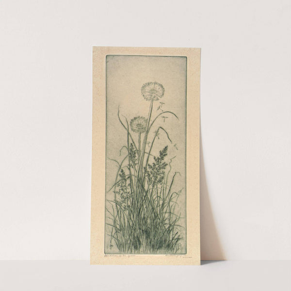 Dandelion in the Grass (ca. 1926) by Bertha Jaques