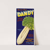 Dandy Brand Celery Label (1930-1950)