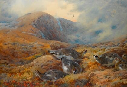 Danger Aloft – Ptarmigan (1927)