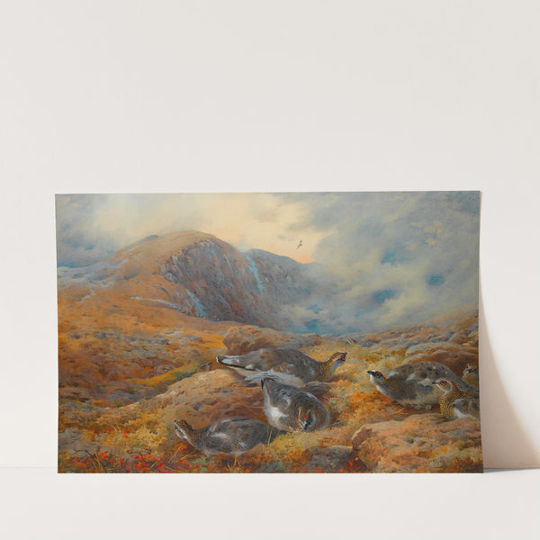 Danger Aloft – Ptarmigan (1927) by Archibald Thorburn