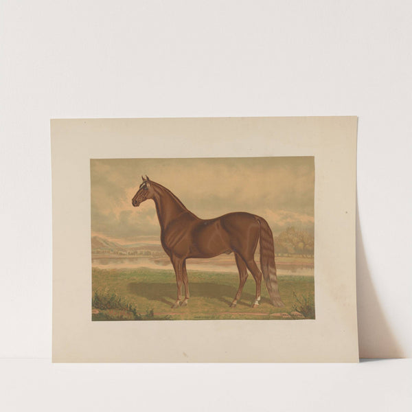 Daniel Lambert by Theodore Marsden