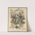 Danse ecossaise, composed for the piano-forte by Fred. T. Baker (1900-1930) by George H. Walker & Co.