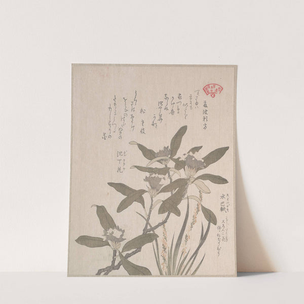 Daphne odora and Mojisuri-so by Kubo Shunman