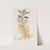 Dark Green Forsythia by Sydenham Edwards