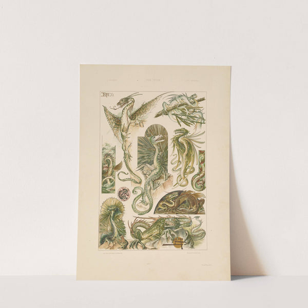 Das Thier in der decorativen Kunst Pl.02 (1896) by Anton Seder