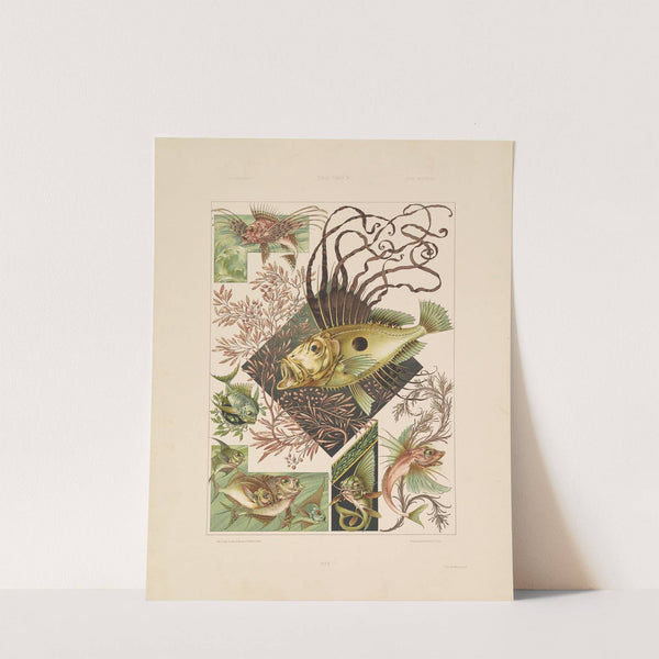 Das Thier in der decorativen Kunst Pl.04 (1896) by Anton Seder