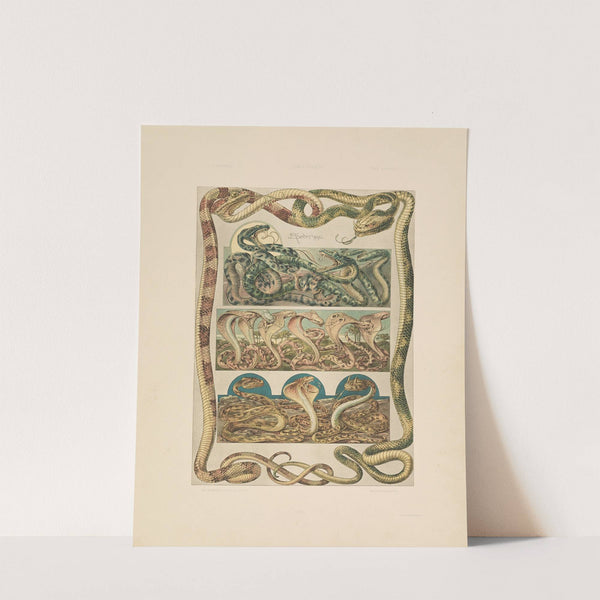 Das Thier in der decorativen Kunst Pl.05 (1896) by Anton Seder