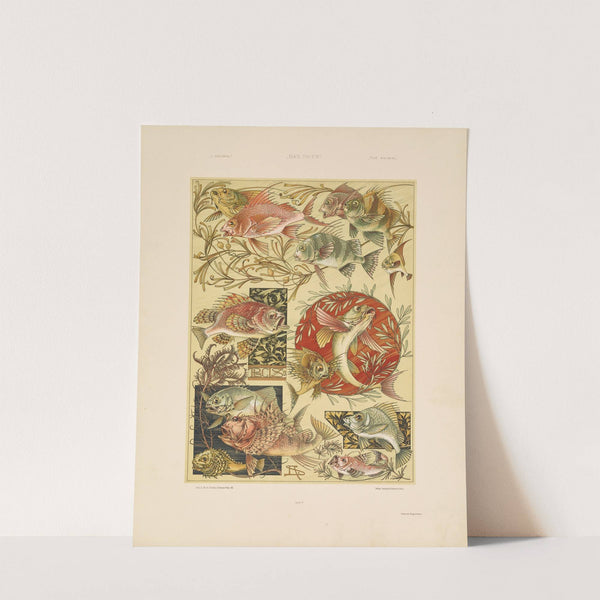 Das Thier in der decorativen Kunst Pl.08 (1896) by Anton Seder