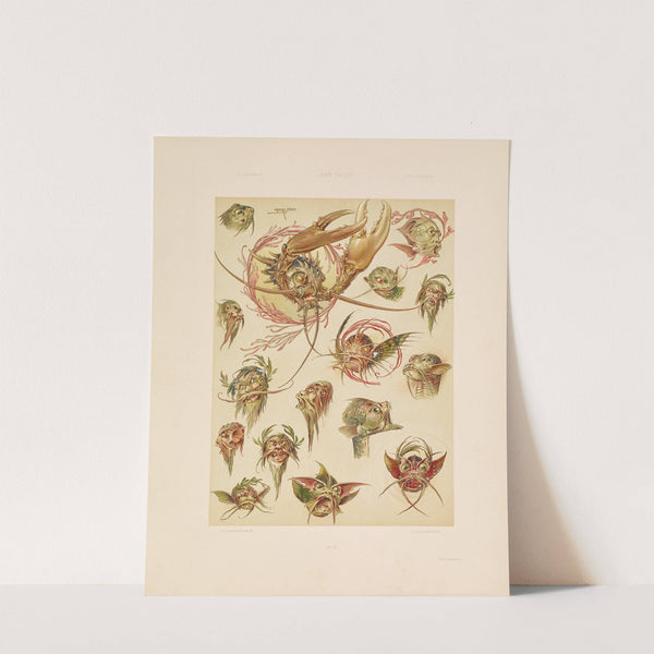 Das Thier in der decorativen Kunst Pl.11 by Anton Seder