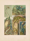 Das Thier in der decorativen Kunst Pl.15
