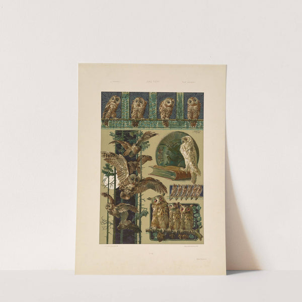 Das Thier in der decorativen Kunst Pl.16 by Anton Seder