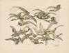 Das Thier in der decorativen Kunst Pl.19