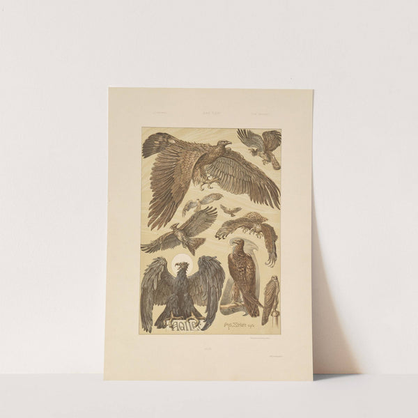 Das Thier in der decorativen Kunst Pl.22 by Anton Seder