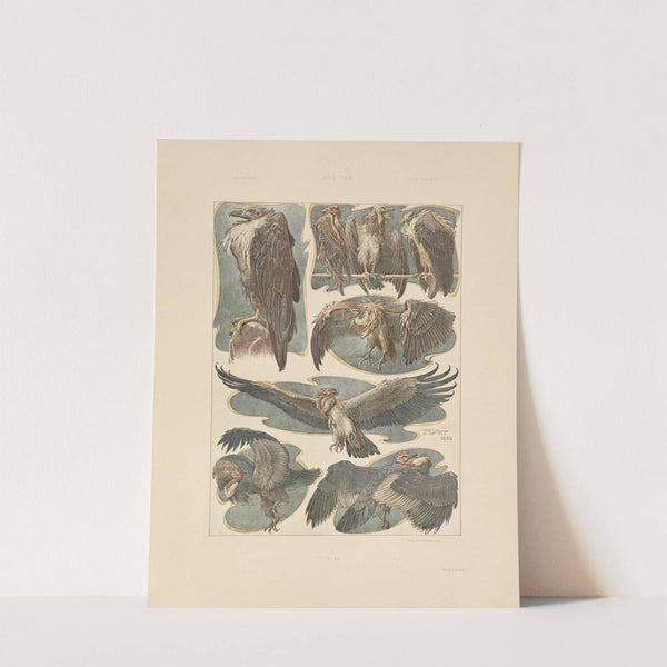 Das Thier in der decorativen Kunst Pl.26 by Anton Seder