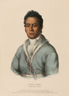 David Vann. A Cherokee Chief