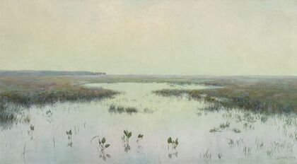 Dawn over water – Marshes