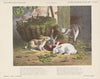 De drie konijntjes en de geit (1875-1919)