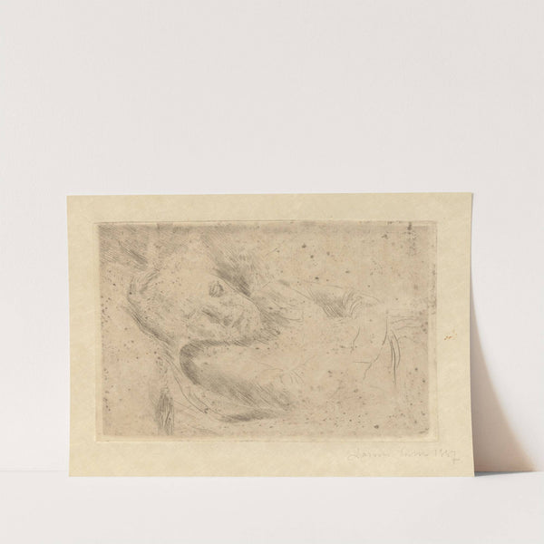 De slaapster by James Ensor