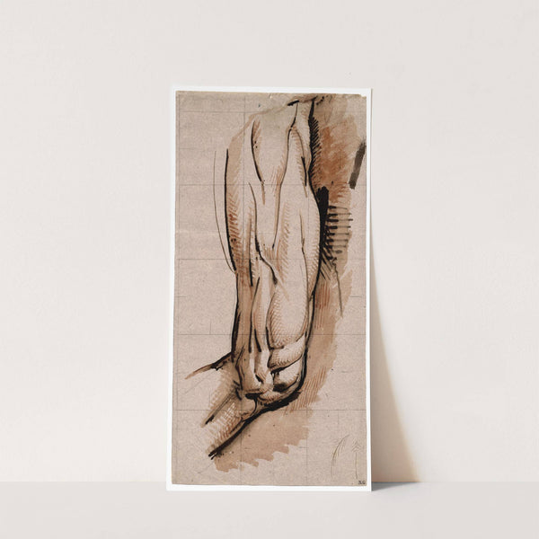 De spieren van een bovenbeen en knie by David Humbert de Superville