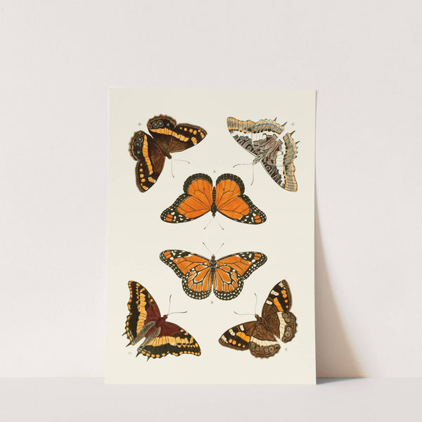 De uitlandsche kapellen voorkomende in de drie waereld-deelen, Asia, Africa en America pl03 (1779-1782) by Pieter Cramer