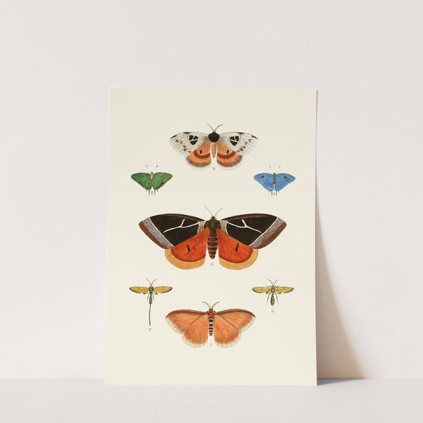 De uitlandsche kapellen voorkomende in de drie waereld-deelen, Asia, Africa en America pl04 (1779-1782) by Pieter Cramer