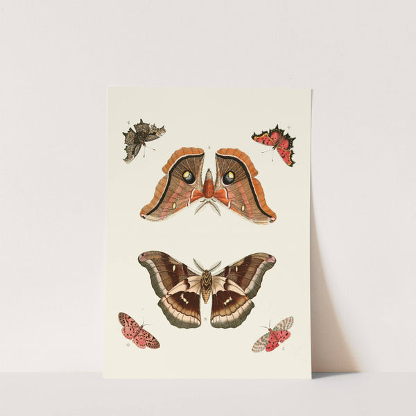 De uitlandsche kapellen voorkomende in de drie waereld-deelen, Asia, Africa en America pl05 (1779-1782) by Pieter Cramer