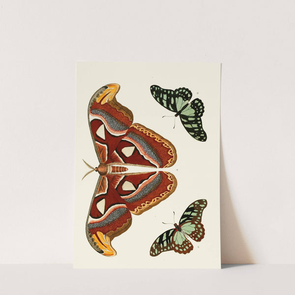 De uitlandsche kapellen voorkomende in de drie waereld-deelen, Asia, Africa en America pl09 (1779-1782) by Pieter Cramer