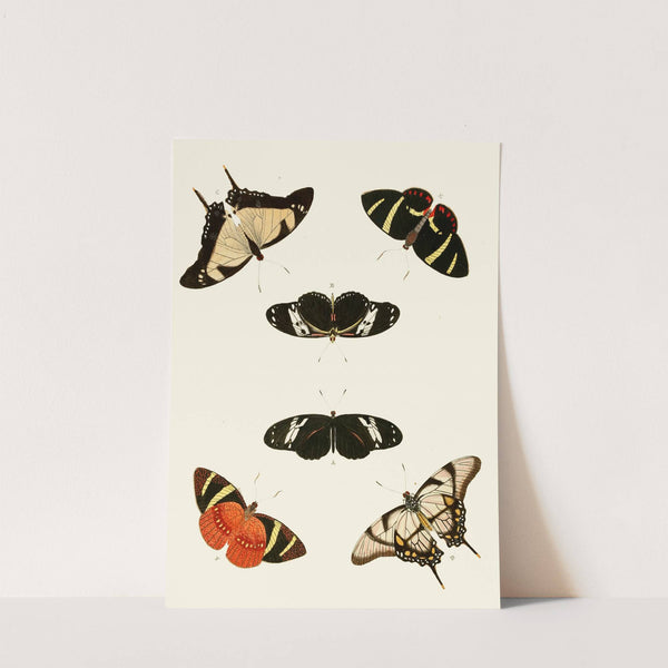 De uitlandsche kapellen voorkomende in de drie waereld-deelen, Asia, Africa en America pl17 (1779-1782) by Pieter Cramer