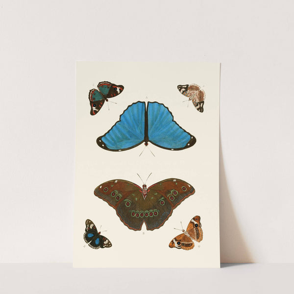 De uitlandsche kapellen voorkomende in de drie waereld-deelen, Asia, Africa en America pl21 (1779-1782) by Pieter Cramer