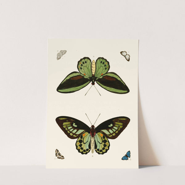 De uitlandsche kapellen voorkomende in de drie waereld-deelen, Asia, Africa en America pl23 (1779-1782) by Pieter Cramer