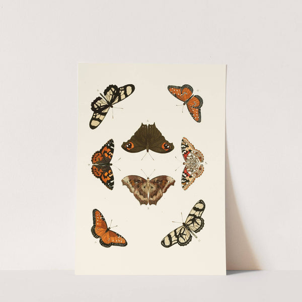 De uitlandsche kapellen voorkomende in de drie waereld-deelen, Asia, Africa en America pl26 (1779-1782) by Pieter Cramer