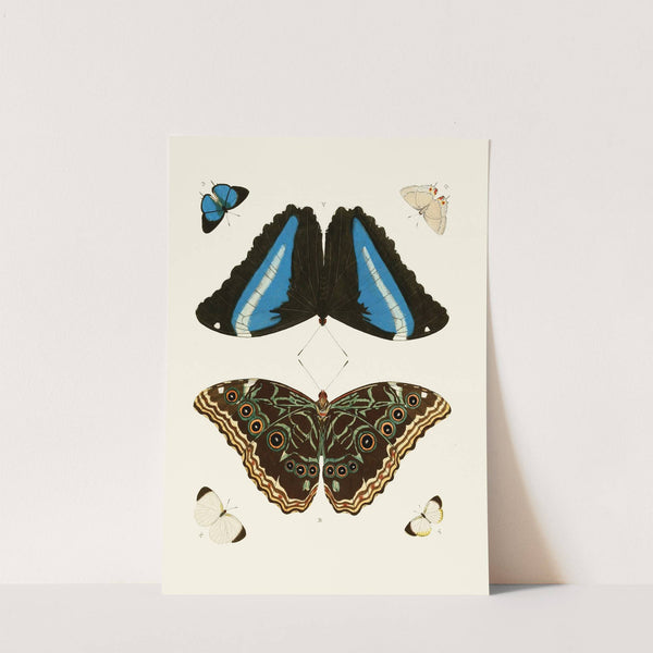 De uitlandsche kapellen voorkomende in de drie waereld-deelen, Asia, Africa en America pl27 (1779-1782) by Pieter Cramer