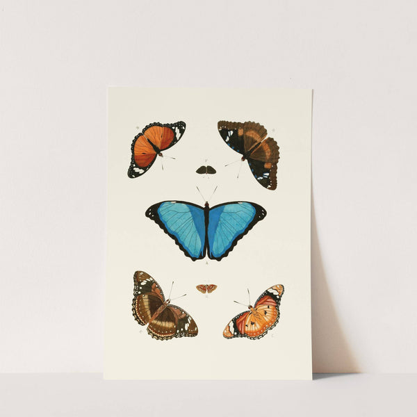 De uitlandsche kapellen voorkomende in de drie waereld-deelen, Asia, Africa en America pl28 (1779-1782) by Pieter Cramer