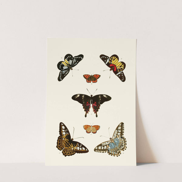 De uitlandsche kapellen voorkomende in de drie waereld-deelen, Asia, Africa en America pl43 (1779-1782) by Pieter Cramer