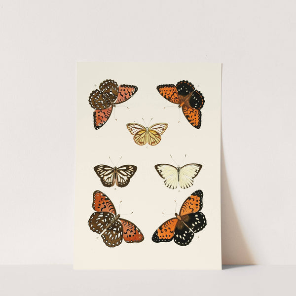 De uitlandsche kapellen voorkomende in de drie waereld-deelen, Asia, Africa en America pl44 (1779-1782) by Pieter Cramer