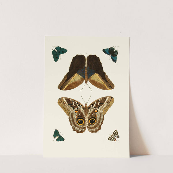 De uitlandsche kapellen voorkomende in de drie waereld-deelen, Asia, Africa en America pl51 (1779-1782) by Pieter Cramer