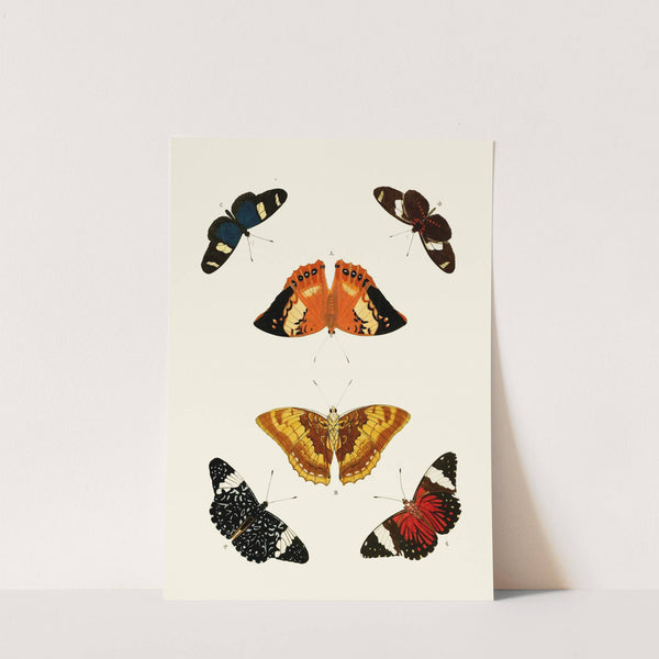 De uitlandsche kapellen voorkomende in de drie waereld-deelen, Asia, Africa en America pl54 (1779-1782) by Pieter Cramer