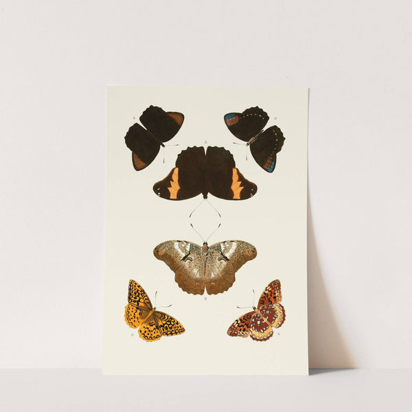 De uitlandsche kapellen voorkomende in de drie waereld-deelen, Asia, Africa en America pl57 (1779-1782) by Pieter Cramer