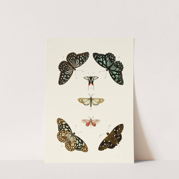 De uitlandsche kapellen voorkomende in de drie waereld-deelen, Asia, Africa en America pl59 (1779-1782) by Pieter Cramer