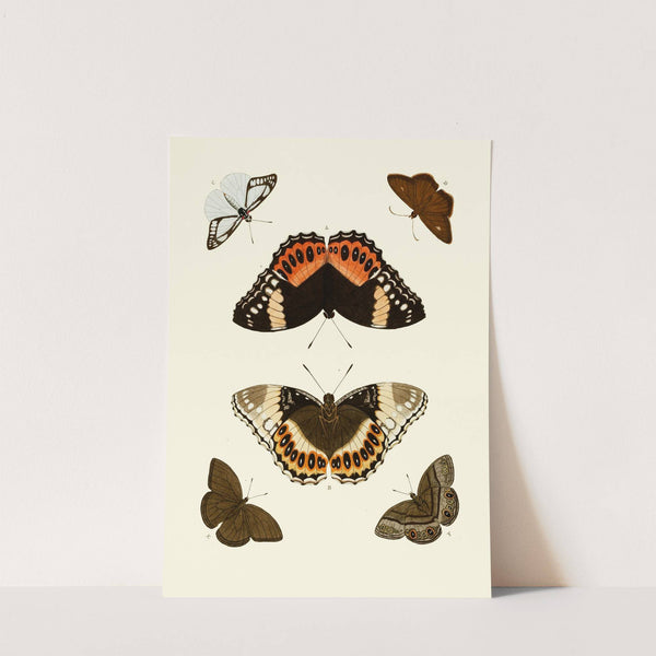 De uitlandsche kapellen voorkomende in de drie waereld-deelen, Asia, Africa en America pl60 (1779-1782) by Pieter Cramer