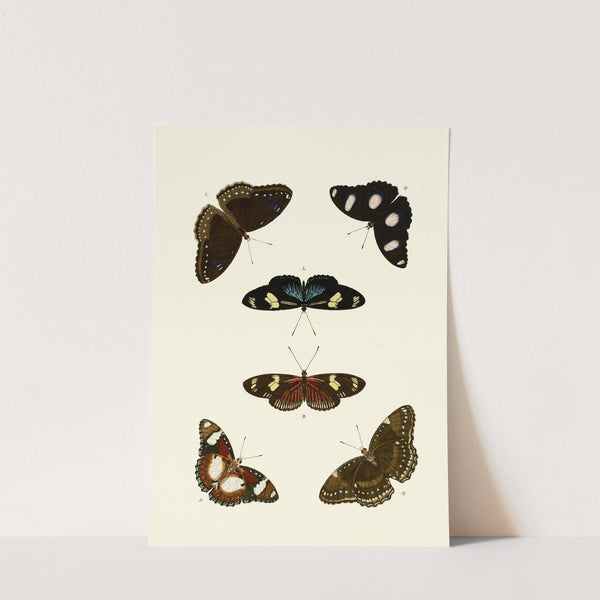 De uitlandsche kapellen voorkomende in de drie waereld-deelen, Asia, Africa en America pl65 (1779-1782) by Pieter Cramer