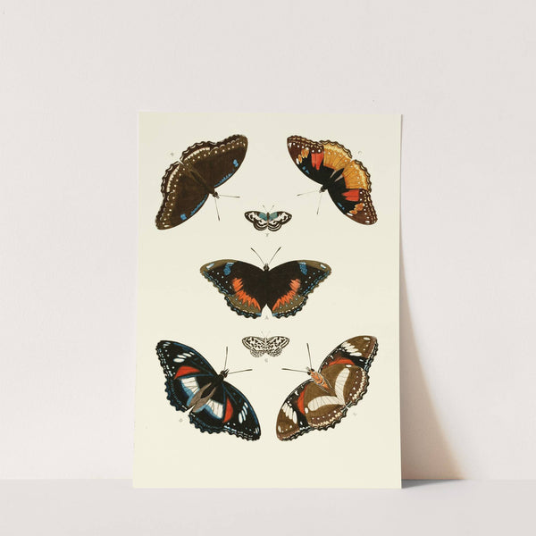 De uitlandsche kapellen voorkomende in de drie waereld-deelen, Asia, Africa en America pl67 (1779-1782) by Pieter Cramer