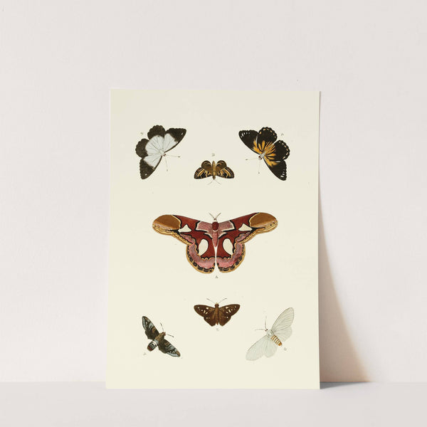 De uitlandsche kapellen voorkomende in de drie waereld-deelen, Asia, Africa en America pl68 (1779-1782) by Pieter Cramer