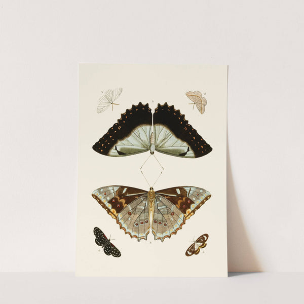 De uitlandsche kapellen voorkomende in de drie waereld-deelen, Asia, Africa en America pl71 (1779-1782) by Pieter Cramer