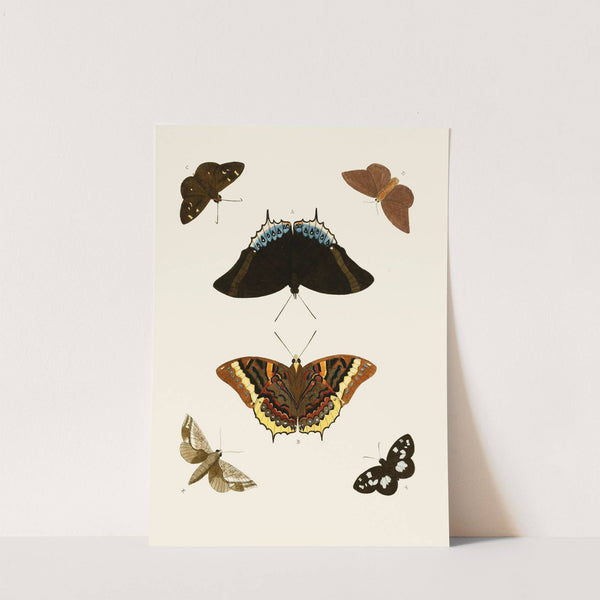 De uitlandsche kapellen voorkomende in de drie waereld-deelen, Asia, Africa en America pl74 (1779-1782) by Pieter Cramer